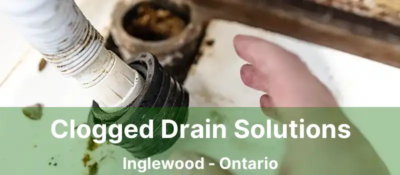  Clogged Drain Solutions Inglewood - Ontario