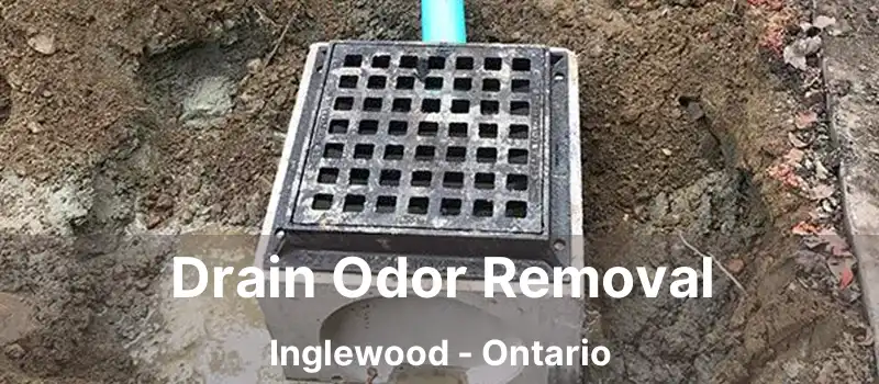  Drain Odor Removal Inglewood - Ontario