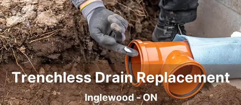  Trenchless Drain Replacement Inglewood - ON